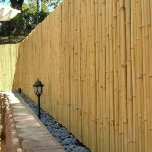 Забор из бамбука