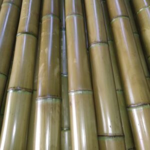 Стволы бамбука обожженные светлые